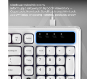 Ajazz AF98 biała - 1536380 - zdjęcie 8